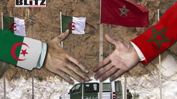 خبير أمني : الجزائر ترفض السلام لأنه سيؤدي إلى سقوط 