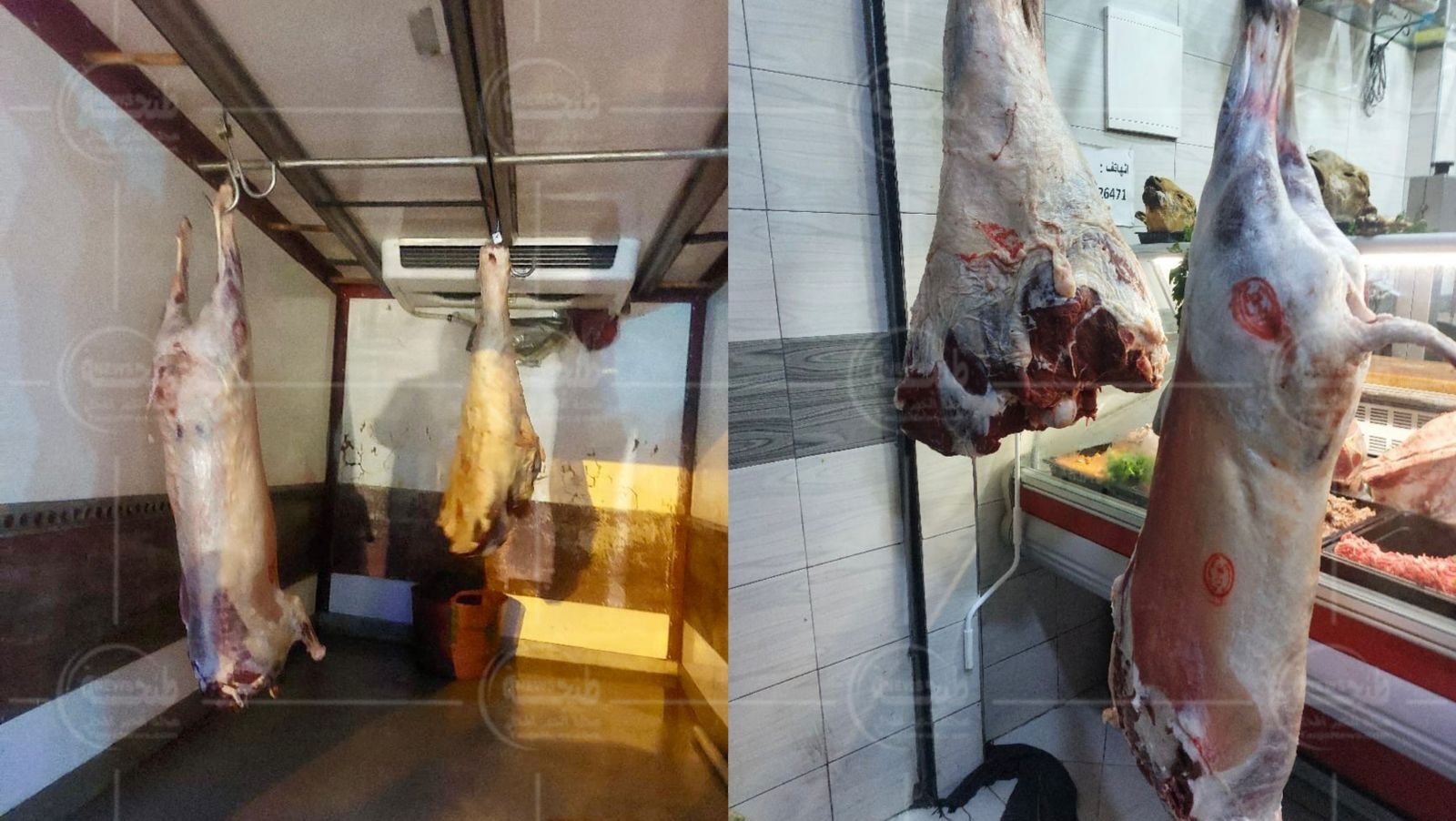 طنجة.. ضبط أزيد من 150 كلغ من اللحوم غير الصالحة للاستهلاك بحي بوخالف
