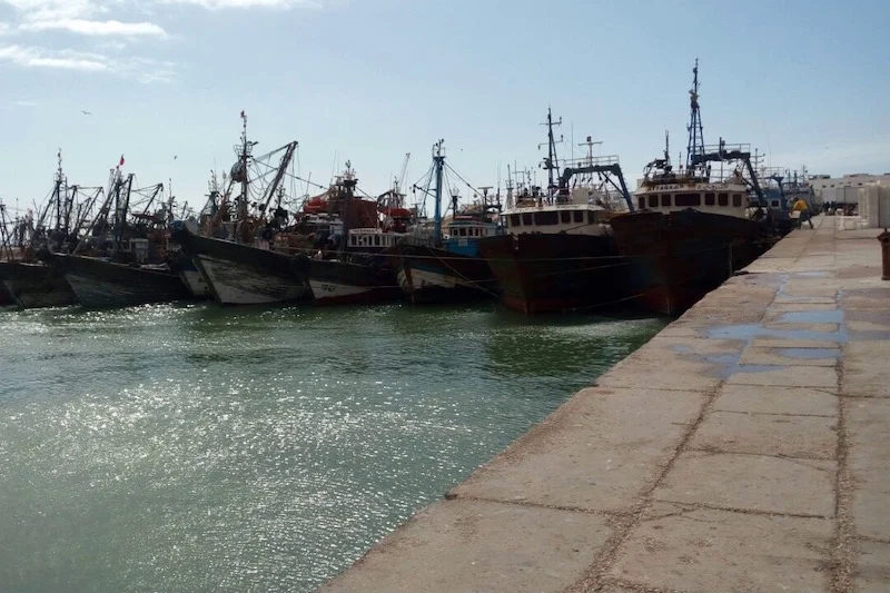 العاصفة الرملية تغلق ميناء العيون وتعطل حركة الملاحة